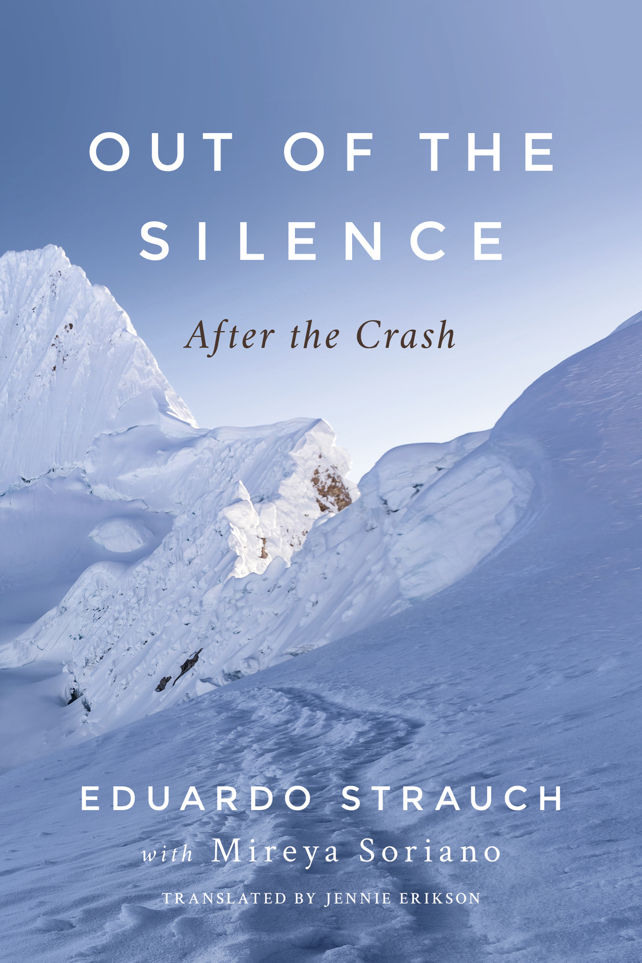 Out of the Silence: After the Crash