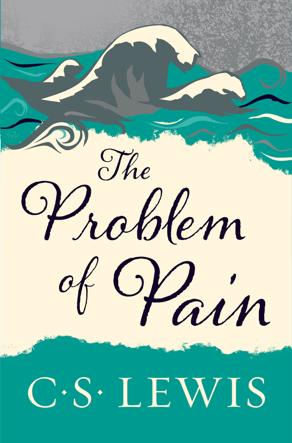 The Problem of Pain